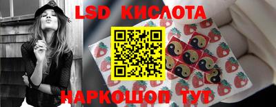 гидропоника Дубна