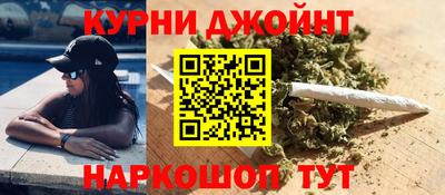 гидропоника Дубна