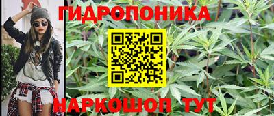 гидропоника Дубна