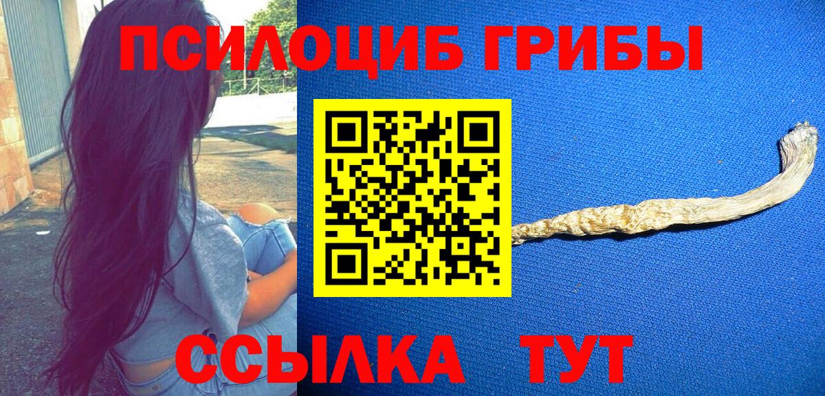 Псилоцибиновые грибы GOLDEN TEACHER  Вход с VPN  Северобайкальск 